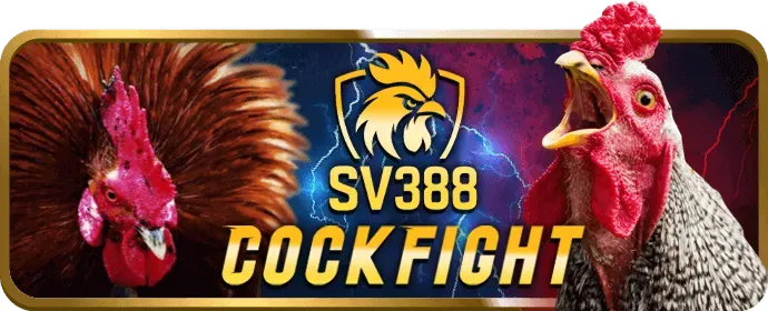 Hỗ trợ khách hàng 24/7 dt88